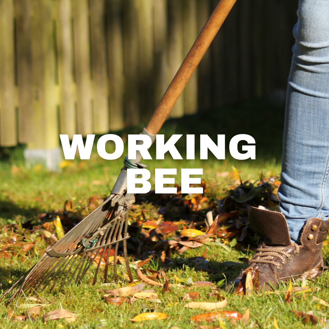 Church Working Bee WEB EVENT (250 x 240 px) (1080 x 1080 px)